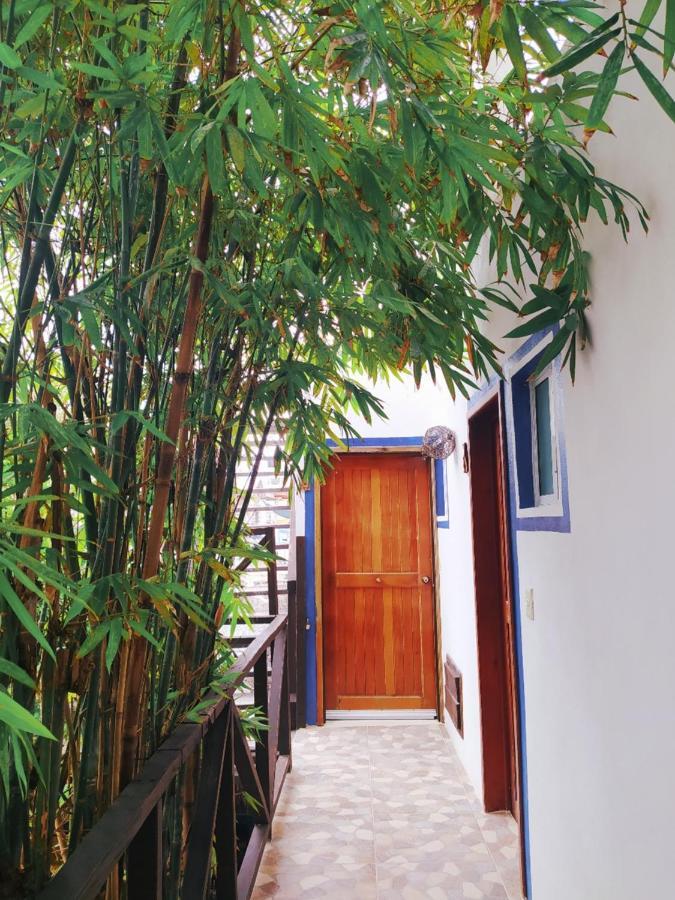 Hotel Jardin Mahahual Zewnętrze zdjęcie