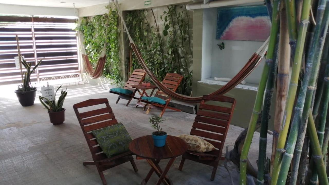 Hotel Jardin Mahahual Zewnętrze zdjęcie